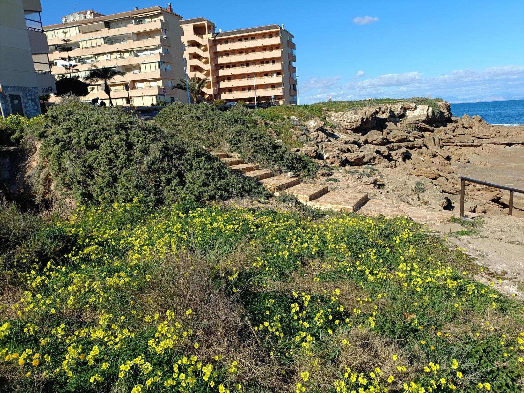 Apartamento Miramar Torrevieja Exterior foto